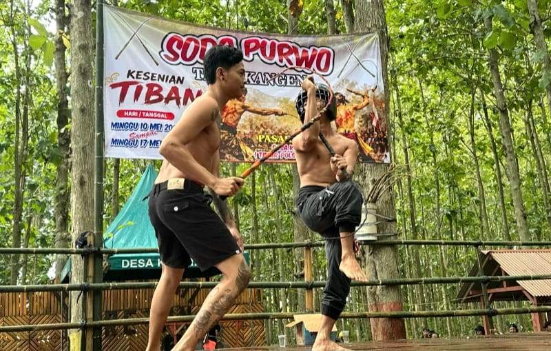 Tradisi Cambuk Tiban Purwoharjo Kembali Digelar, Generasi Muda Diajak Lestarikan Budaya