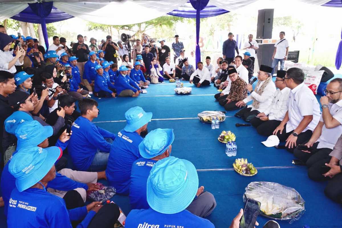 Rembuk Tani di Banyuwangi, Menko Zulhas: Distribusi Pupuk dan Harga Gabah Terjaga